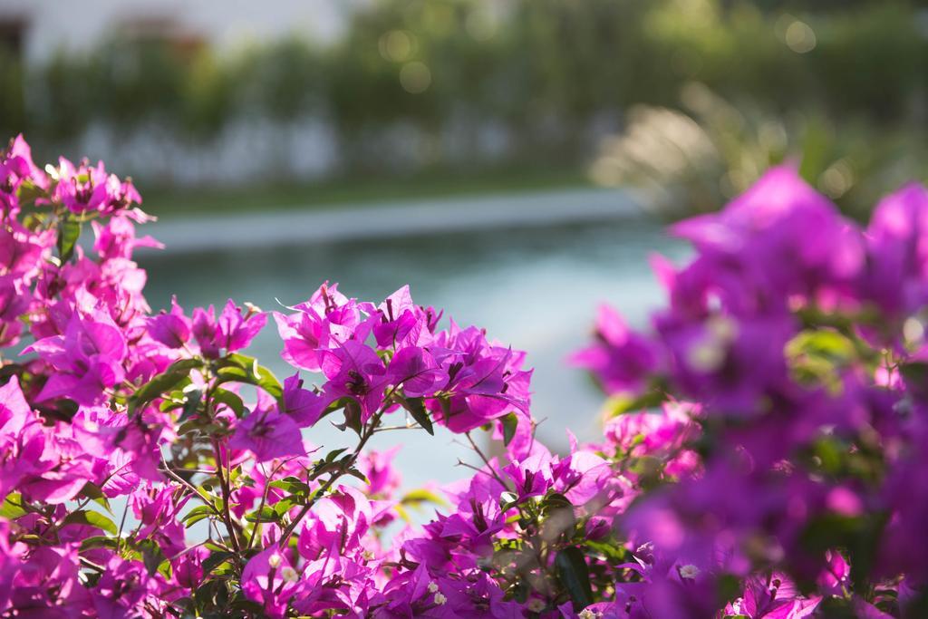 Romantic Hotel & Restaurant Villa Cheta Elite Maratea Dış mekan fotoğraf